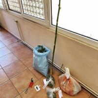 Συνελήφθησαν από αστυνομικούς της Ο.Π.Κ.Ε. Φλώρινας  -3- ημεδαποί, για κατοχή ναρκωτικών, σε περιοχή της Φλώρινας 