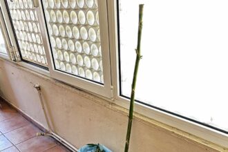 Συνελήφθησαν από αστυνομικούς της Ο.Π.Κ.Ε. Φλώρινας  -3- ημεδαποί, για κατοχή ναρκωτικών, σε περιοχή της Φλώρινας 